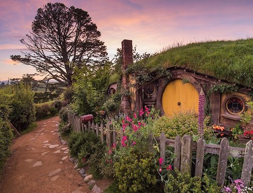 One way tour Auckland to Hobbiton