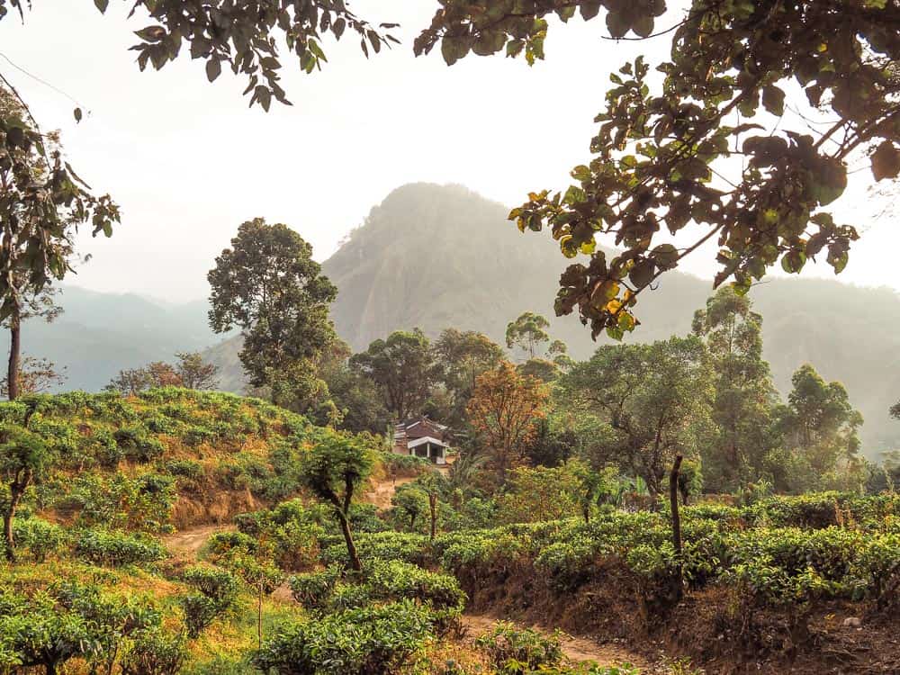 Little Adam's Peak In Ella, Sri Lanka: Visitor's Guide 1 little adams peak sri lanka, little adams peak, little adams peak, ella, ella sri lanka, mini adam's peak, adam's peak accomodation, adams peak, little adams peak ella, little adams peak view