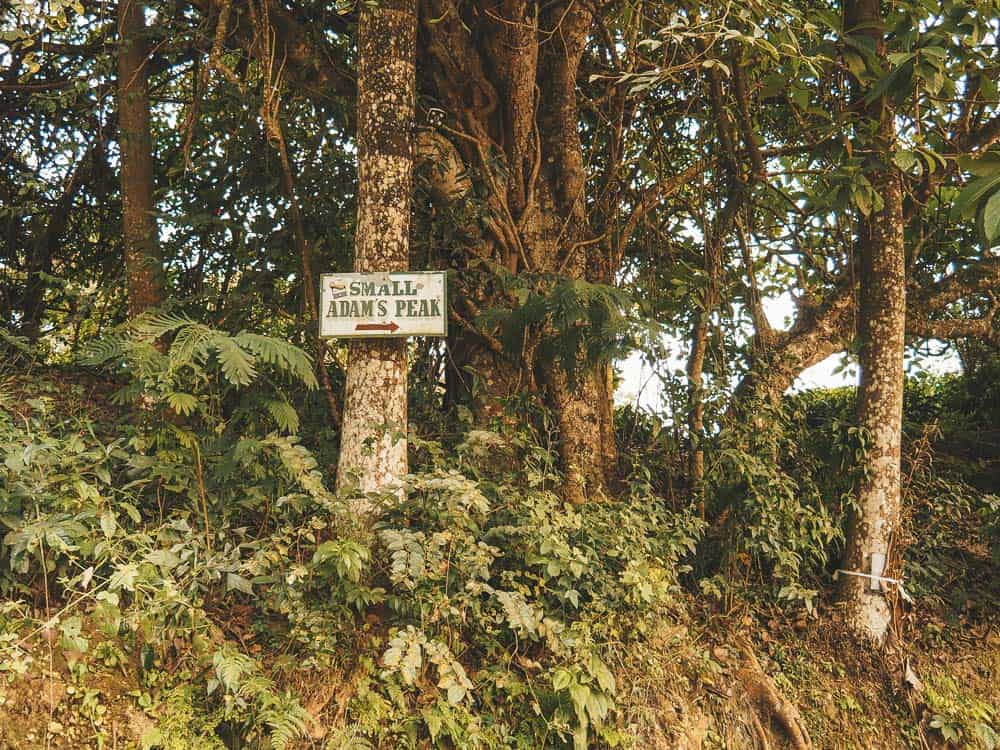little adams peak sri lanka, little adams peak, little adams peak, ella, ella sri lanka, mini adam's peak, adam's peak accomodation, adams peak, little adams peak ella, little adams peak view