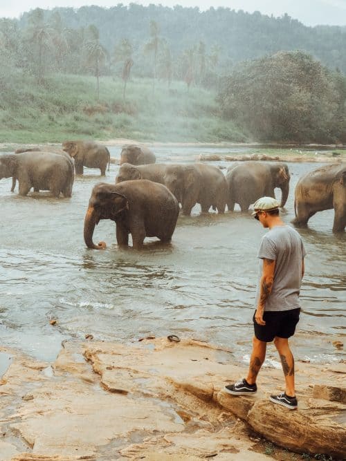 2 Week Sri Lanka Itinerary - The Ultimate Guide 62 sri lanka trip, visit sri lanka, sri lanka tourists places, sri lanka itinerary, places to visit in sri lanka, sri lanka holidays, best places to visit in sri lanka, tourist attractions in sri lanka, sri lanka tourist places, best beaches in sri lanka, what to do in sri lanka, sri lanka attractions, sri lanka blog, beautiful places in sri lanka, best places in sri lanka, sri lanka points of interest, things to see in sri lanka, things to do in sri lanka, sri lanka beaches, 2 weeks in sri lanka itinerary, sri lanka itinerary, 2 weeks in sri lanka, sri lanka itinerary 3 weeks, two weeks in sri lanka, sri lanka two week itinerary, sri lanka travel itinerary, sri lanka travel guide, best itinerary for sri lanka