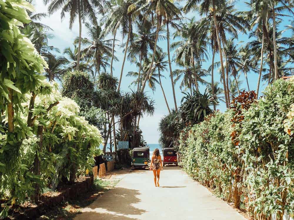 2 Week Sri Lanka Itinerary - The Ultimate Guide 1 sri lanka trip, visit sri lanka, sri lanka tourists places, sri lanka itinerary, places to visit in sri lanka, sri lanka holidays, best places to visit in sri lanka, tourist attractions in sri lanka, sri lanka tourist places, best beaches in sri lanka, what to do in sri lanka, sri lanka attractions, sri lanka blog, beautiful places in sri lanka, best places in sri lanka, sri lanka points of interest, things to see in sri lanka, things to do in sri lanka, sri lanka beaches, sk town sri lanka, sk town matara, sk town, sk town beach, sk town beach sri lanka, sri lanka surf, surf camp sri lanka, matara sri lanka, surf and yoga sri lanka, 2 weeks in sri lanka itinerary, sri lanka itinerary, 2 weeks in sri lanka, sri lanka itinerary 3 weeks, two weeks in sri lanka, sri lanka two week itinerary, sri lanka travel itinerary, sri lanka travel guide, best itinerary for sri lanka, sk town matara, sri lanka surf, matara, sk town matara sri lanka