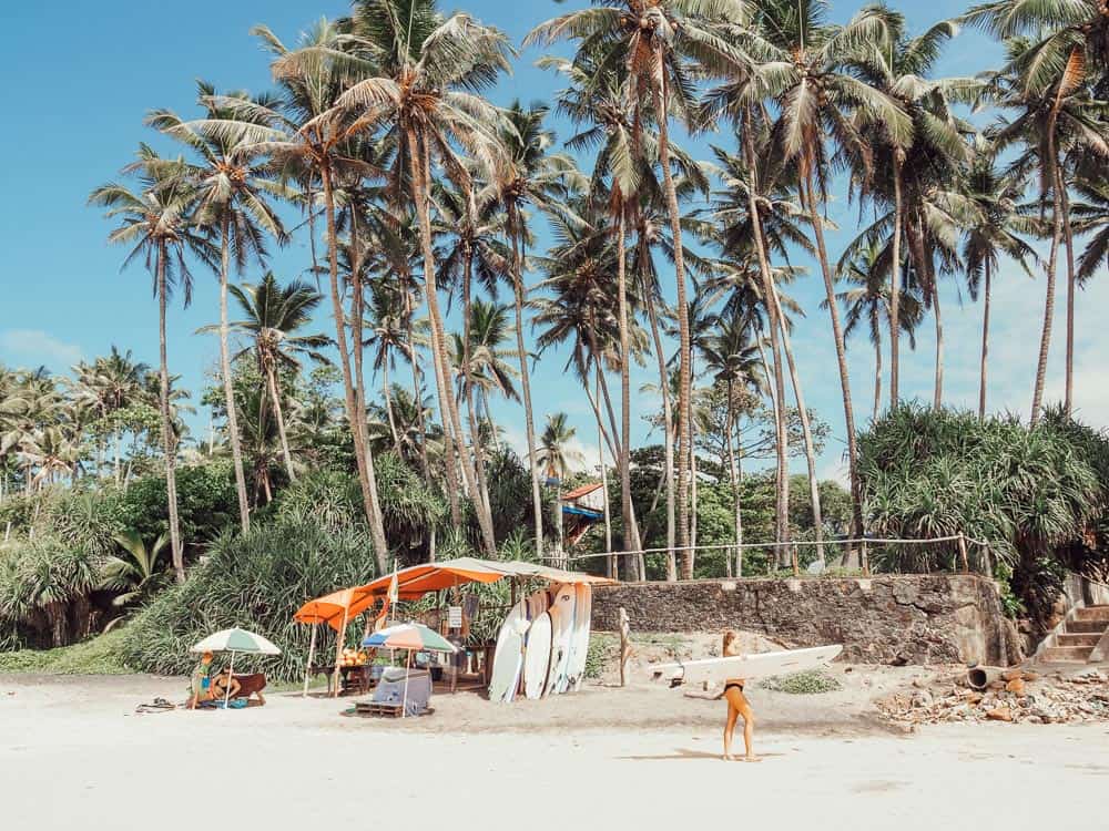 sri lanka trip, visit sri lanka, sri lanka tourists places, sri lanka itinerary, places to visit in sri lanka, sri lanka holidays, best places to visit in sri lanka, tourist attractions in sri lanka, sri lanka tourist places, best beaches in sri lanka, what to do in sri lanka, sri lanka attractions, sri lanka blog, beautiful places in sri lanka, best places in sri lanka, sri lanka points of interest, things to see in sri lanka, things to do in sri lanka, sri lanka beaches, sk town sri lanka, sk town matara, sk town, sk town beach, sk town beach sri lanka, sri lanka surf, surf camp sri lanka, matara sri lanka, surf and yoga sri lanka, 2 weeks in sri lanka itinerary, sri lanka itinerary, 2 weeks in sri lanka, sri lanka itinerary 3 weeks, two weeks in sri lanka, sri lanka two week itinerary, sri lanka travel itinerary, sri lanka travel guide, best itinerary for sri lanka, sk town matara, sri lanka surf, matara, sk town matara sri lanka