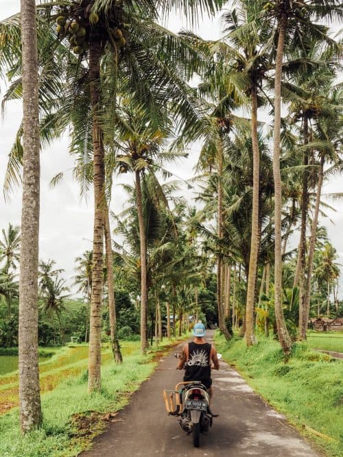 PC220103 e1525173910489