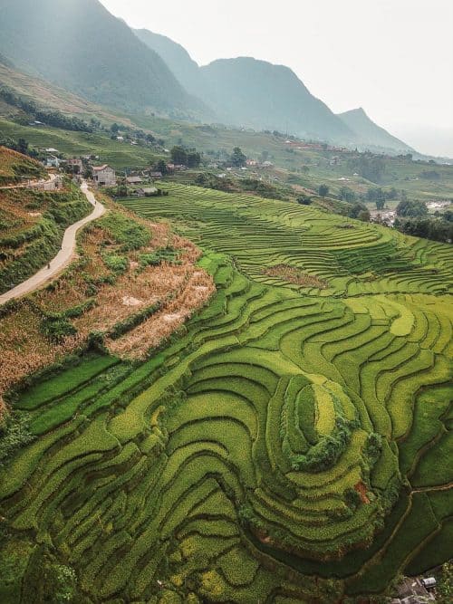 sapa rice fields 13 e1535869311876