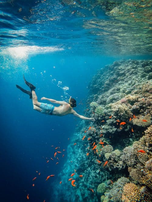 15 Day Egypt And Jordan Tour - The Ultimate Guide 57 egypt itinerary, egypt and jordan tour, egypt and jordan tours, egypt and jordan, dahab red sea, dahab snorkeling, snorkeling dahab, snorkeling red sea, diving red sea, red sea diving, dahab diving