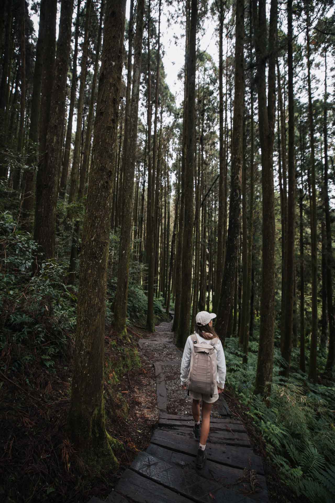 sun link sea taiwan 32