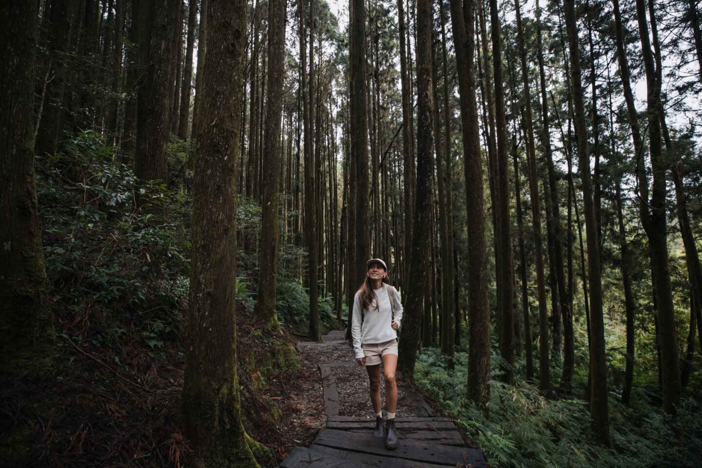 sun link sea taiwan 33