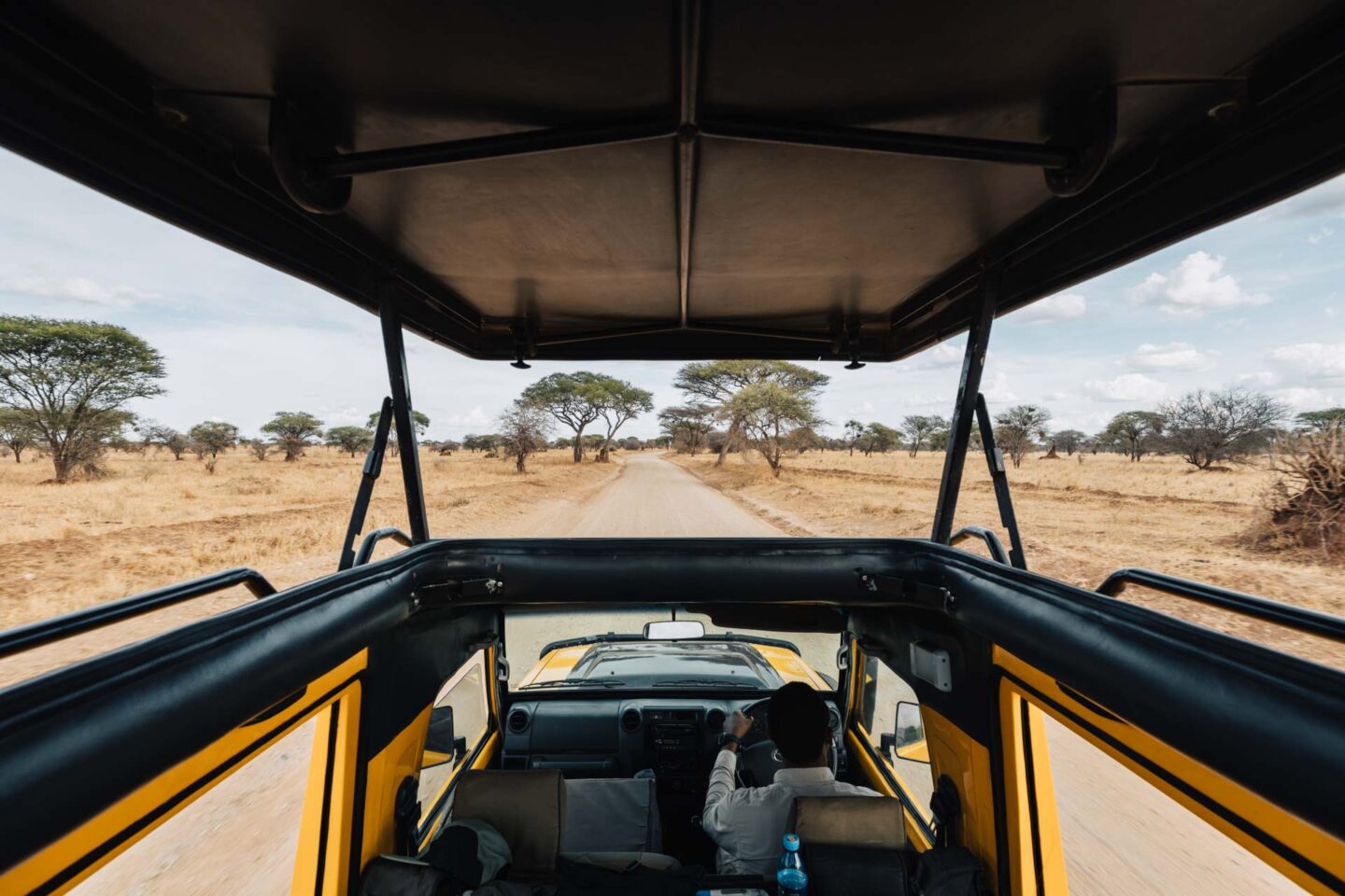 tarangire safari, safari tarangire, safari in tarangire, tarangire national park, tarangire tanzania, 3 day tanzania safari, 3 day safari tanzania