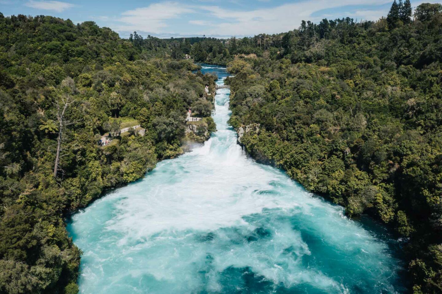taupo 19