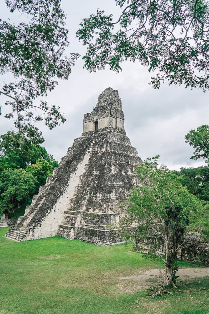 tikal, tikal national park, tikal temple, tikal tours, flores to tikal, flores tikal, visiting tikal, tikal guatemala, mayan city of tikal, guatemala city to tikal, tikal map, where is tikal, tikal entrance fee, guatemala tikal, ruins tikal, ruins of tikal, tikal tour, tikal ruins guatemala, belize city to tikal, san ignacio to tikal, tikal sunrise tour, tikal tours from flores