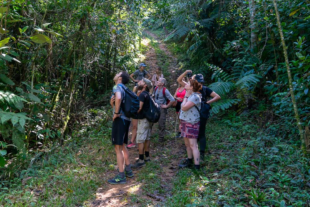 cuba itinerary, cuba itinerary 10 days, cuba travel itinerary, 10 days in cuba, cuba 10 days, cuba in 10 dayS, itinerary for cuba, cuba 10 days itinerary, 10 day cuba itinerary, 10 day itinerary cuba, 10 days cuba itinerary, itinerary cuba 10 days, 10 days in cuba itinerary, tinidad cuba, things to do in trinidad, sierra del escambray, trinidad hiking, hiking in trinidad