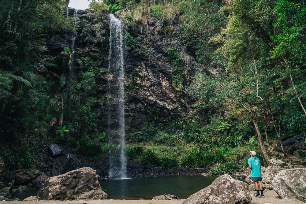 springbrook twin falls, twin falls circuit, twin falls gold coast, twin falls springbrook, springbrook waterfall, springbrook national park waterfalls, waterfalls gold coast, waterfalls springbrook