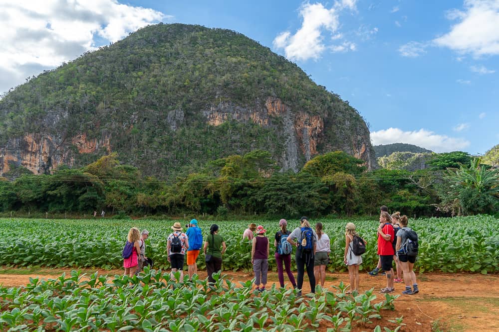 cuba itinerary, cuba itinerary 10 days, cuba travel itinerary, 10 days in cuba, cuba 10 days, cuba in 10 dayS, itinerary for cuba, cuba 10 days itinerary, 10 day cuba itinerary, 10 day itinerary cuba, 10 days cuba itinerary, itinerary cuba 10 days, 10 days in cuba itinerary, vinales cuba, vinales, vinales valley