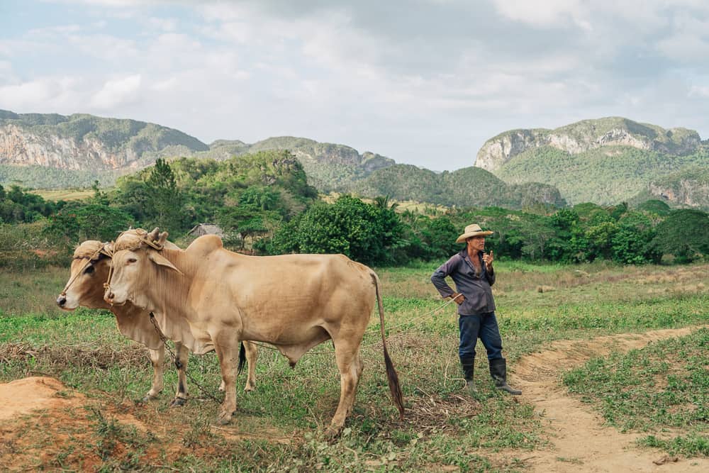 cuba itinerary, cuba itinerary 10 days, cuba travel itinerary, 10 days in cuba, cuba 10 days, cuba in 10 dayS, itinerary for cuba, cuba 10 days itinerary, 10 day cuba itinerary, 10 day itinerary cuba, 10 days cuba itinerary, itinerary cuba 10 days, 10 days in cuba itinerary, vinales cuba, vinales, vinales valley