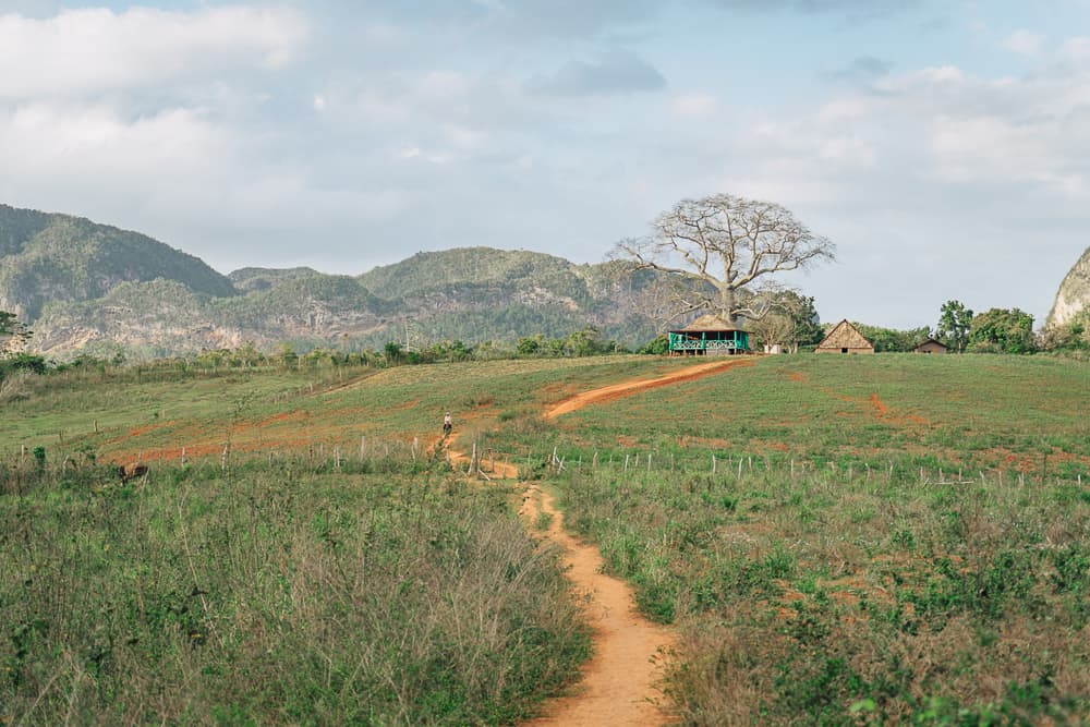 cuba itinerary, cuba itinerary 10 days, cuba travel itinerary, 10 days in cuba, cuba 10 days, cuba in 10 dayS, itinerary for cuba, cuba 10 days itinerary, 10 day cuba itinerary, 10 day itinerary cuba, 10 days cuba itinerary, itinerary cuba 10 days, 10 days in cuba itinerary, vinales cuba, vinales, vinales valley