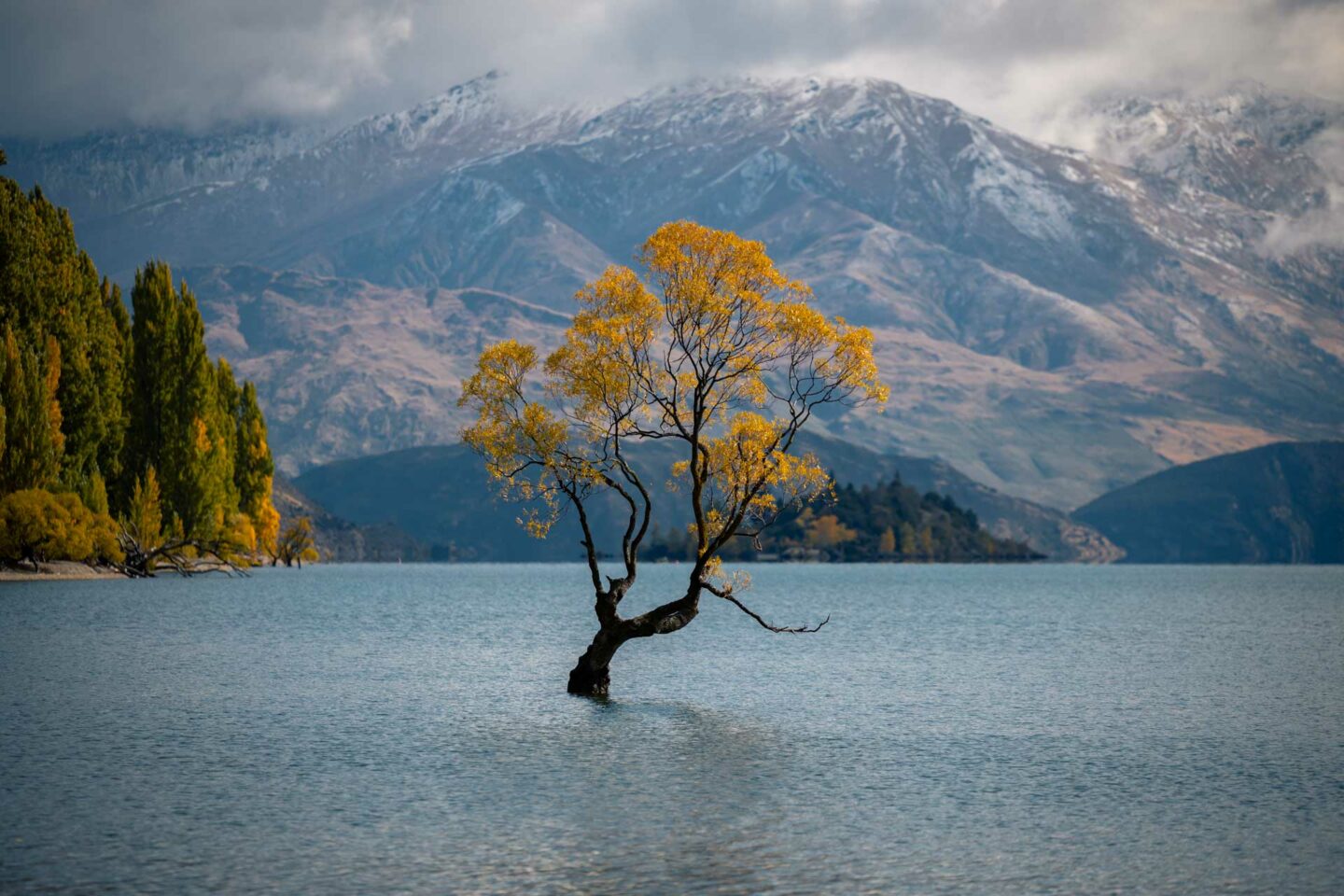 wanaka