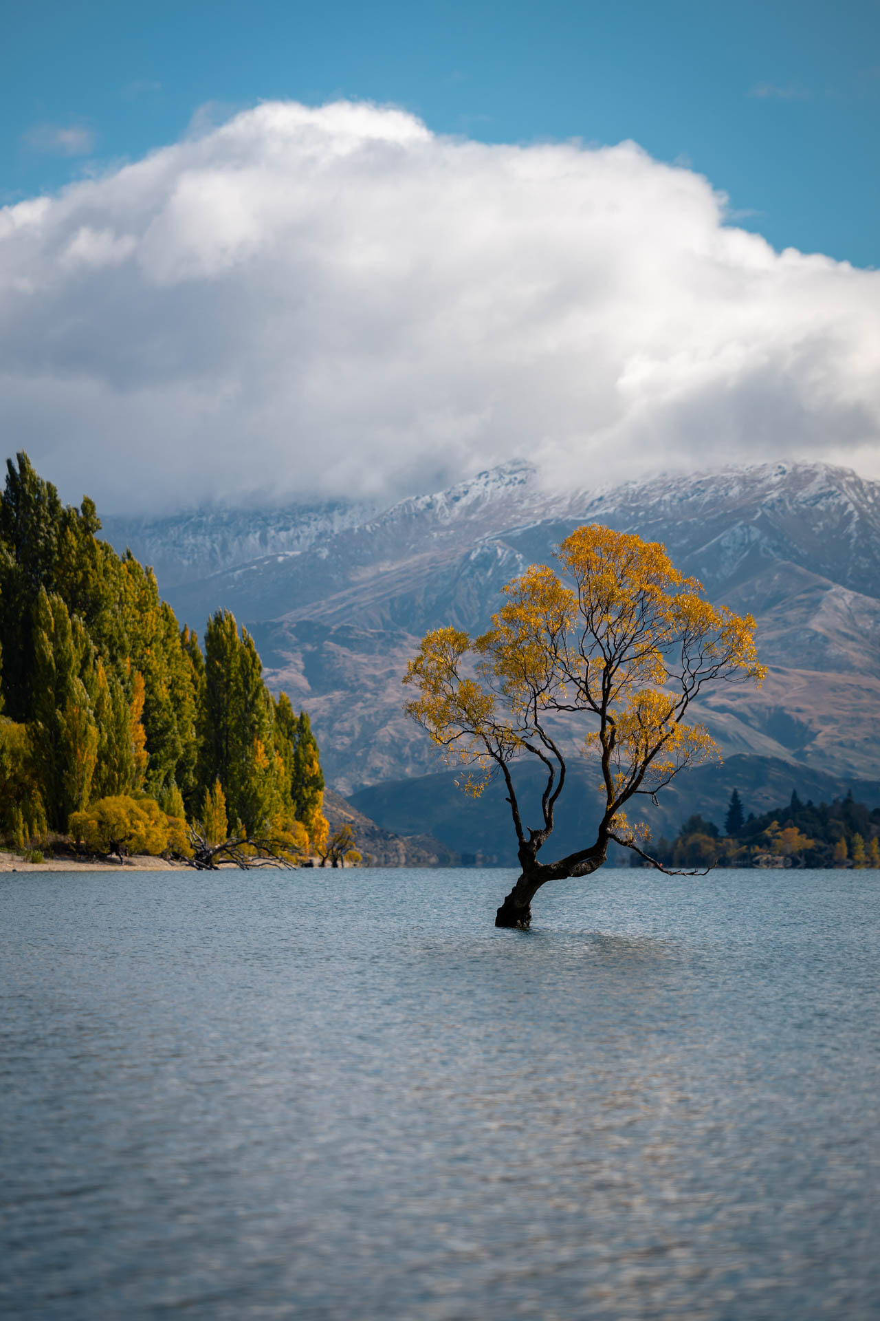 wanaka 2