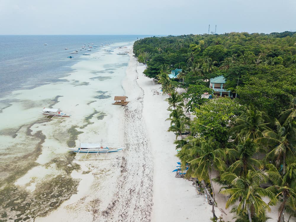 white beach panglao 5